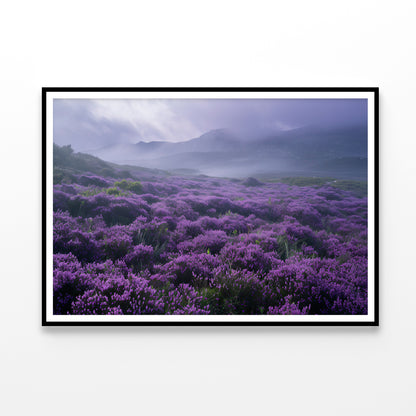 Very Beautiful View at Heather Meadows Home Decor Premium Quality Poster Print Choose Your Sizes