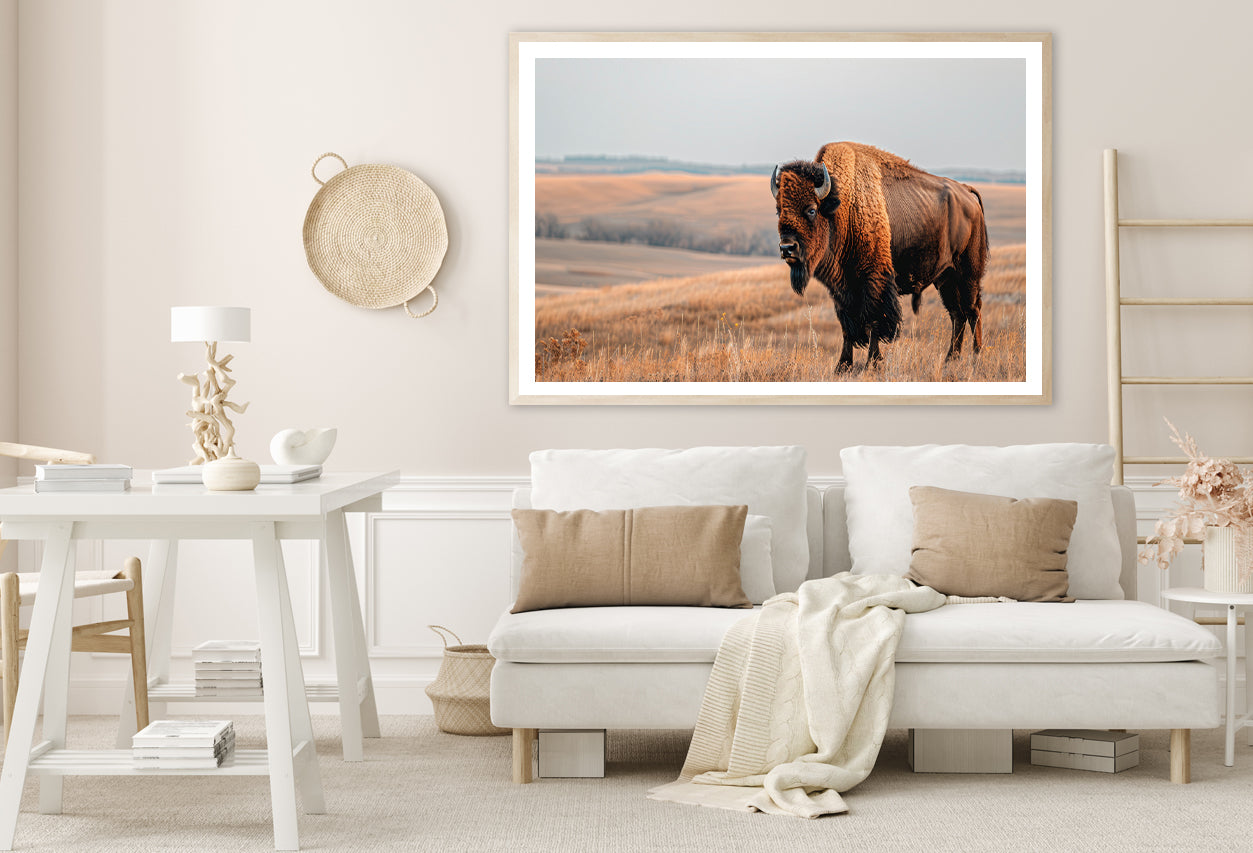 A Bison Standing In a Grassy Field View Home Decor Premium Quality Poster Print Choose Your Sizes