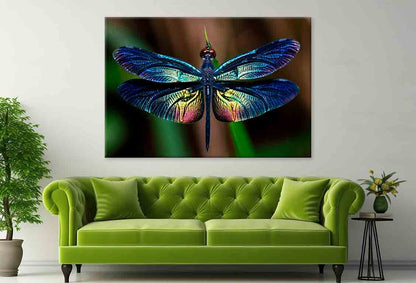 Beautiful Wing of Dragonfly Wall Art Decor 100% Australian Made