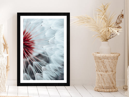 Dandelion Flower Seed In Springtime Glass Framed Wall Art, Ready to Hang Quality Print With White Border Black