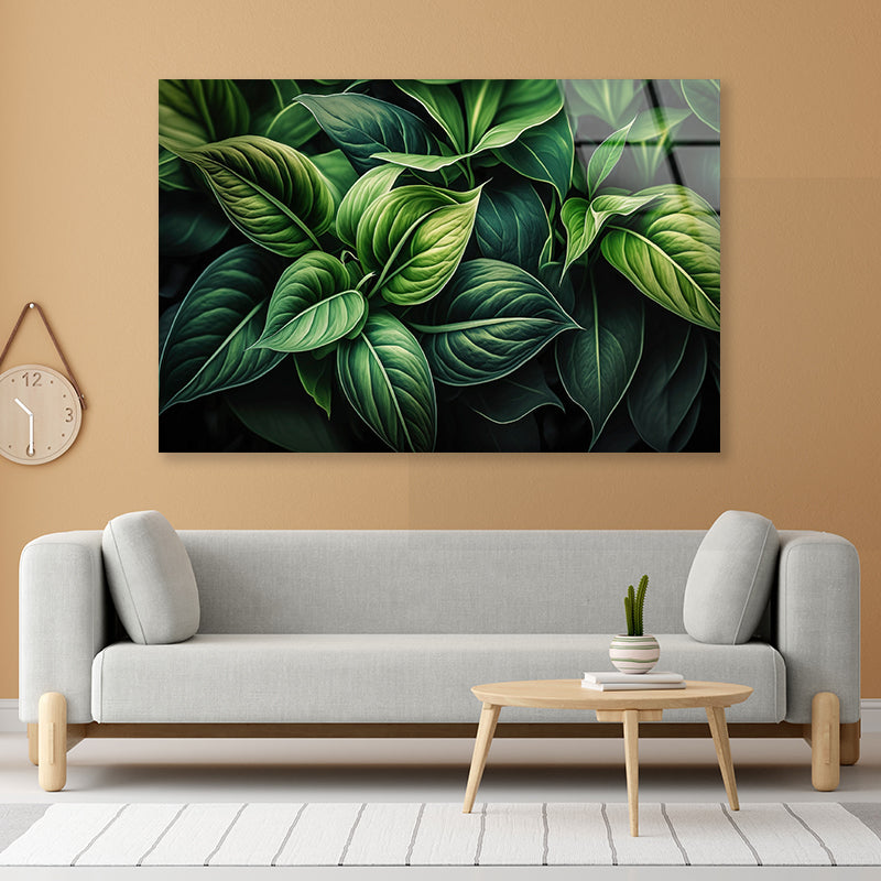 Green Leaves Close up Acrylic Glass Print Tempered Glass Wall Art 100% Made in Australia Ready to Hang