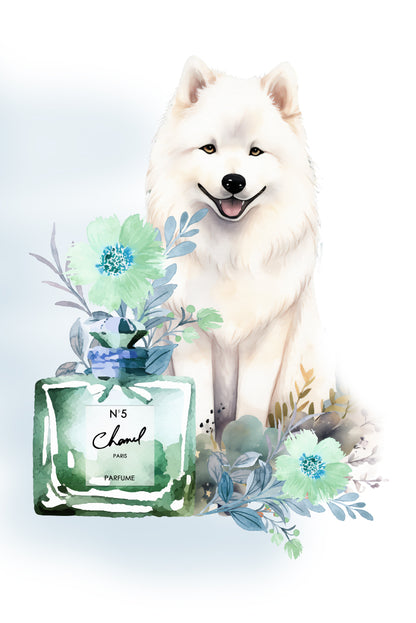 Modern Fashion Perfume with Samoyed Dog Design Home Decor Premium Quality Poster Print Choose Your Sizes