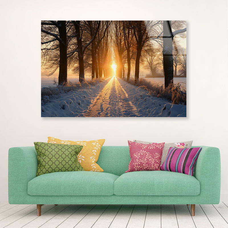 Winter with Tree Alley at Sunset Acrylic Glass Print Tempered Glass Wall Art 100% Made in Australia Ready to Hang