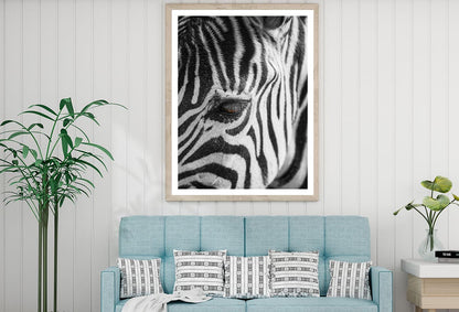 B&W Zebra Home Decor Premium Quality Poster Print Choose Your Sizes