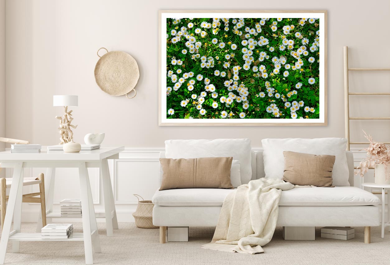 Wild White Daisies Meadow Home Decor Premium Quality Poster Print Choose Your Sizes