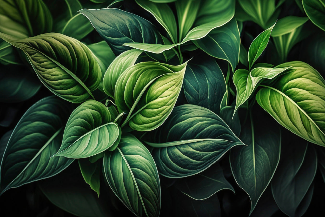 Green Leaves Close up Home Decor Premium Quality Poster Print Choose Your Sizes