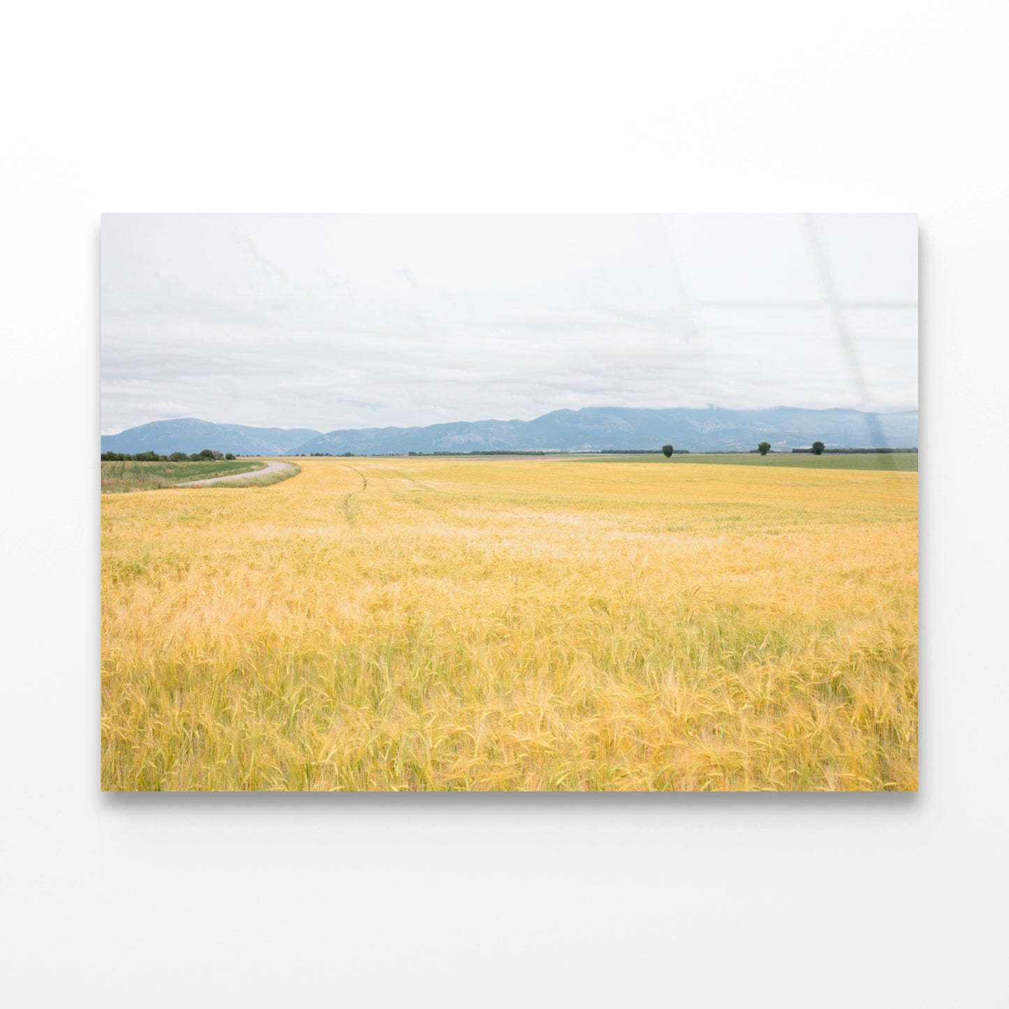 Green Meadows with Mountains Acrylic Glass Print Tempered Glass Wall Art 100% Made in Australia Ready to Hang