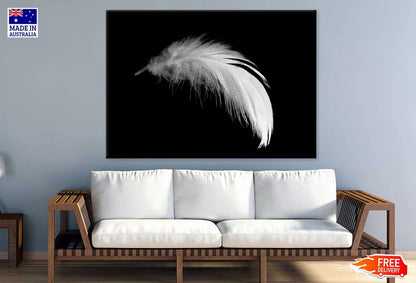 White Feather Closeup B&W View Photograph 90x60cm Print 100% Australian Made