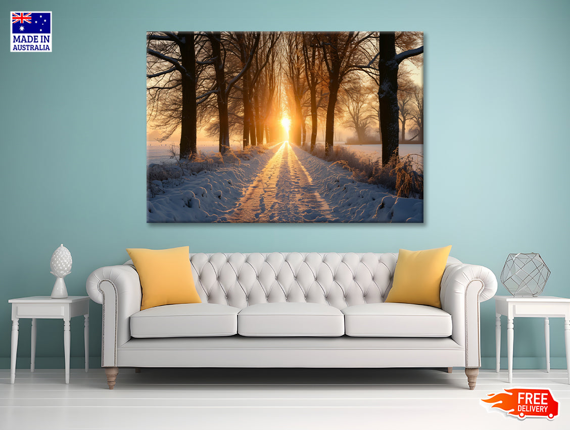 Winter with Tree Alley at Sunset Print 100% Australian Made