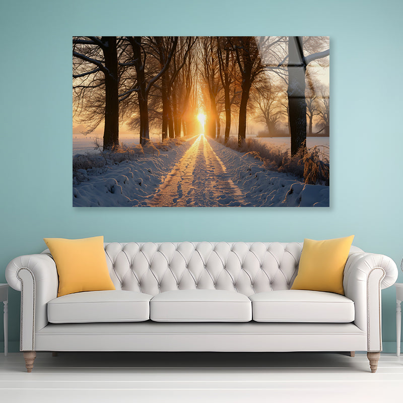 Winter with Tree Alley at Sunset Acrylic Glass Print Tempered Glass Wall Art 100% Made in Australia Ready to Hang