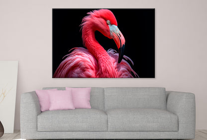 Flamingo Portrait on Black Wall Art Decor 100% Australian Made
