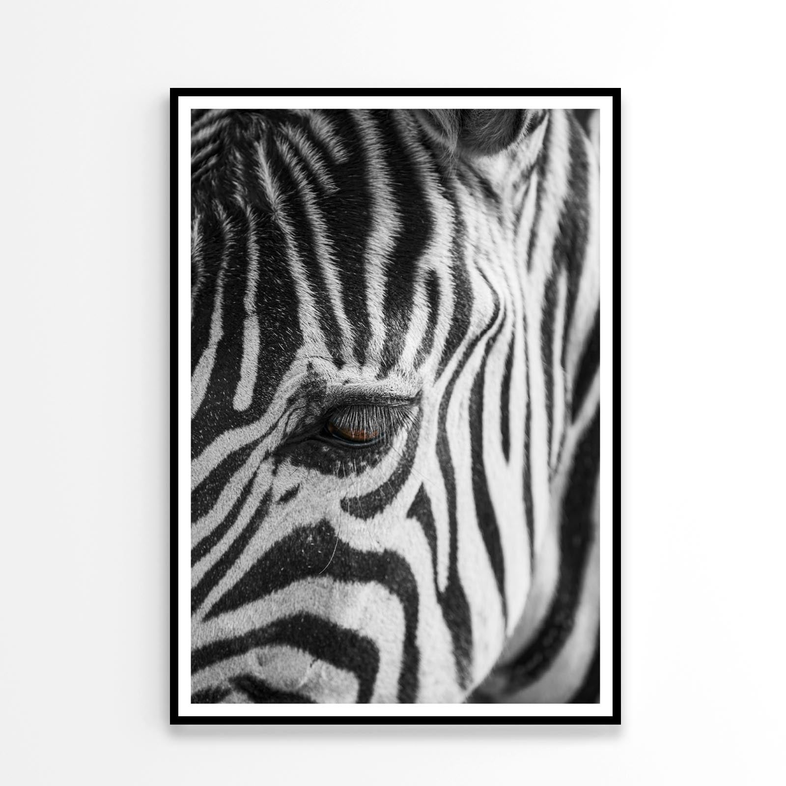 B&W Zebra Home Decor Premium Quality Poster Print Choose Your Sizes