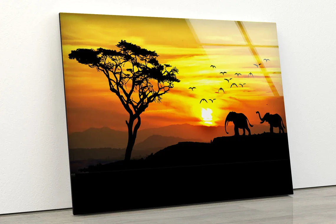 Elephants & Tree Sunset UV Direct Aluminum Print Australian Made Quality