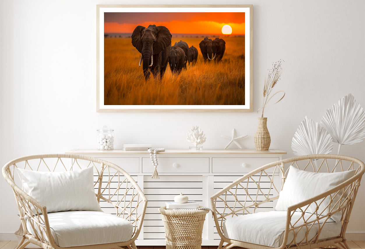 Elephants Walking Through a Field at Sunset View Home Decor Premium Quality Poster Print Choose Your Sizes