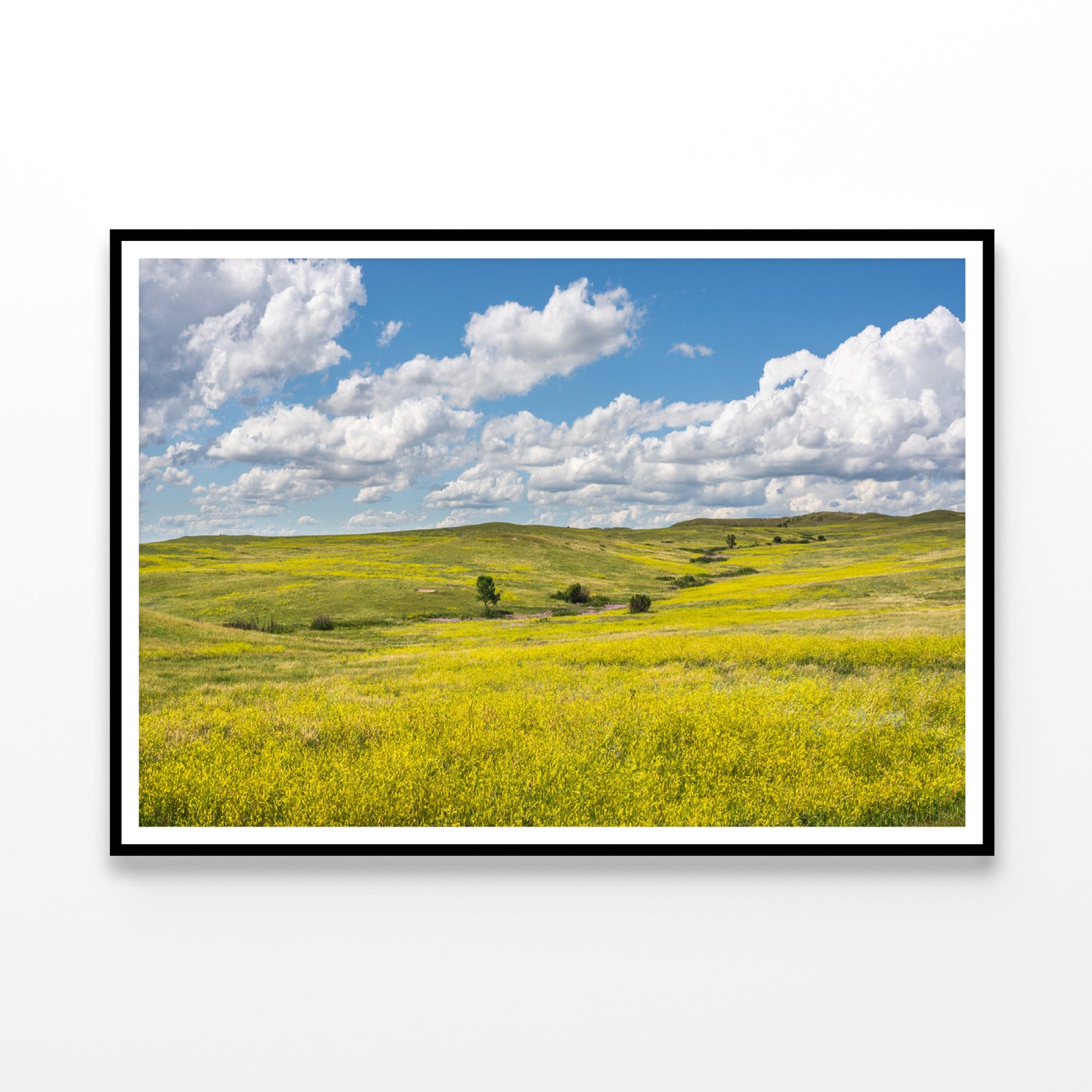 View of a Field Of Yellow Flowers under a Cloudy Sky Home Decor Premium Quality Poster Print Choose Your Sizes