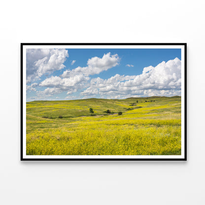 View of a Field Of Yellow Flowers under a Cloudy Sky Home Decor Premium Quality Poster Print Choose Your Sizes