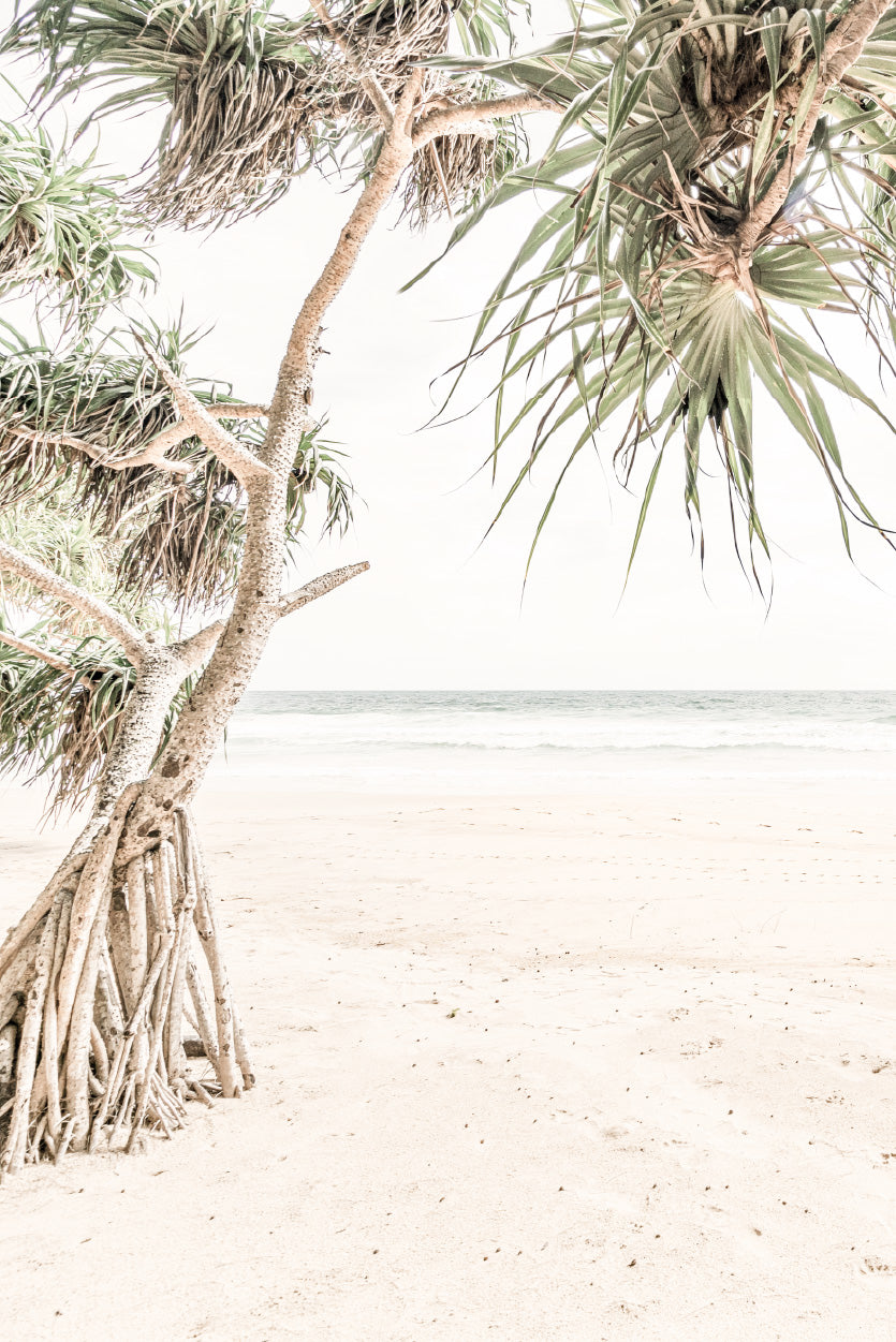 Trees near Sandy Beach View Photograph Glass Framed Wall Art, Ready to Hang Quality Print