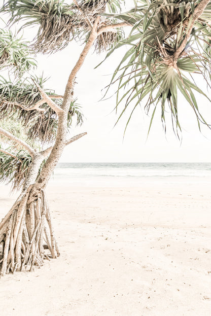 Trees near Sandy Beach View Photograph Glass Framed Wall Art, Ready to Hang Quality Print