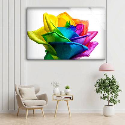 Multicolor Rose Flower UV Direct Aluminum Print Australian Made Quality