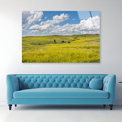 View of a Field Of Yellow Flowers under a Cloudy Sky Acrylic Glass Print Tempered Glass Wall Art 100% Made in Australia Ready to Hang