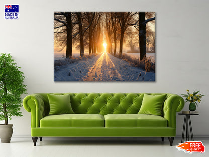 Winter with Tree Alley at Sunset Print 100% Australian Made