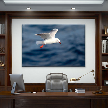 Australian Silver Gull Bird Flying Wall Art Decor 100% Australian Made