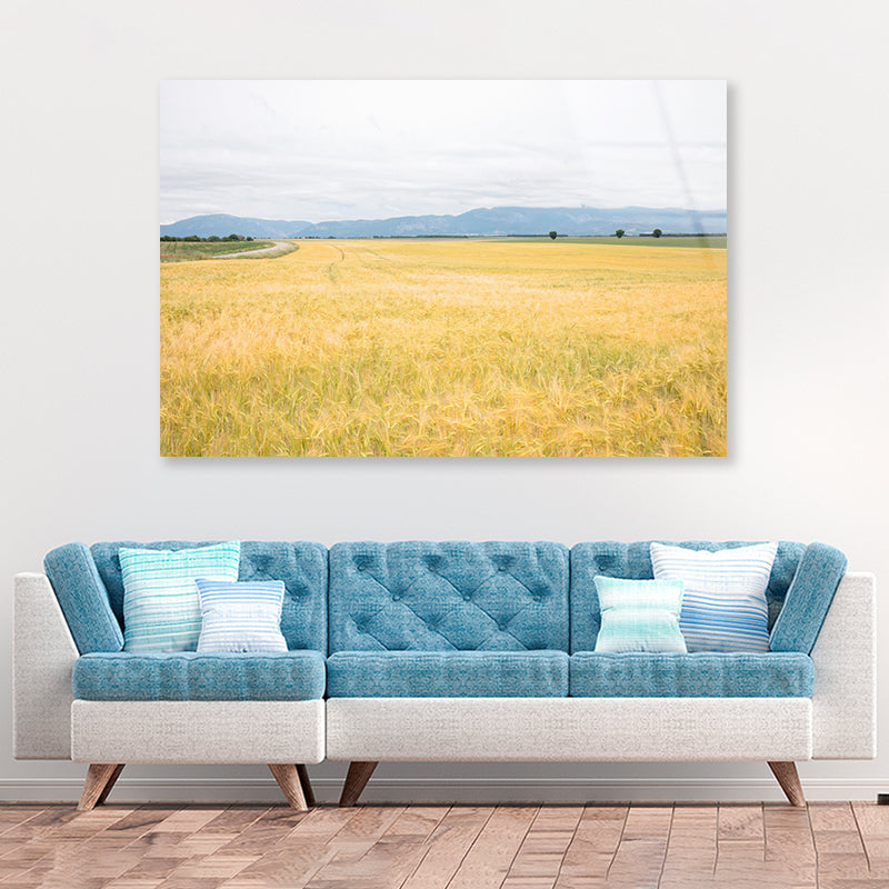 Green Meadows with Mountains Acrylic Glass Print Tempered Glass Wall Art 100% Made in Australia Ready to Hang