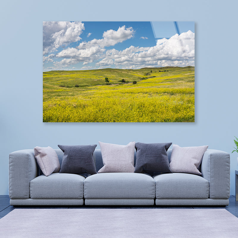 View of a Field Of Yellow Flowers under a Cloudy Sky Acrylic Glass Print Tempered Glass Wall Art 100% Made in Australia Ready to Hang