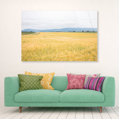 Green Meadows with Mountains Acrylic Glass Print Tempered Glass Wall Art 100% Made in Australia Ready to Hang