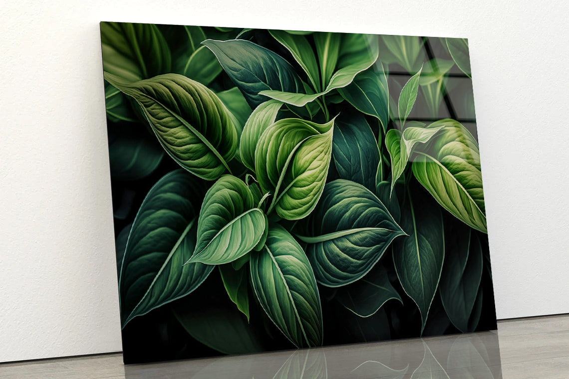 Green Leaves Close up Acrylic Glass Print Tempered Glass Wall Art 100% Made in Australia Ready to Hang