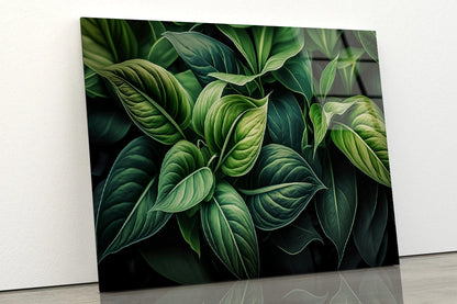 Green Leaves Close up Acrylic Glass Print Tempered Glass Wall Art 100% Made in Australia Ready to Hang