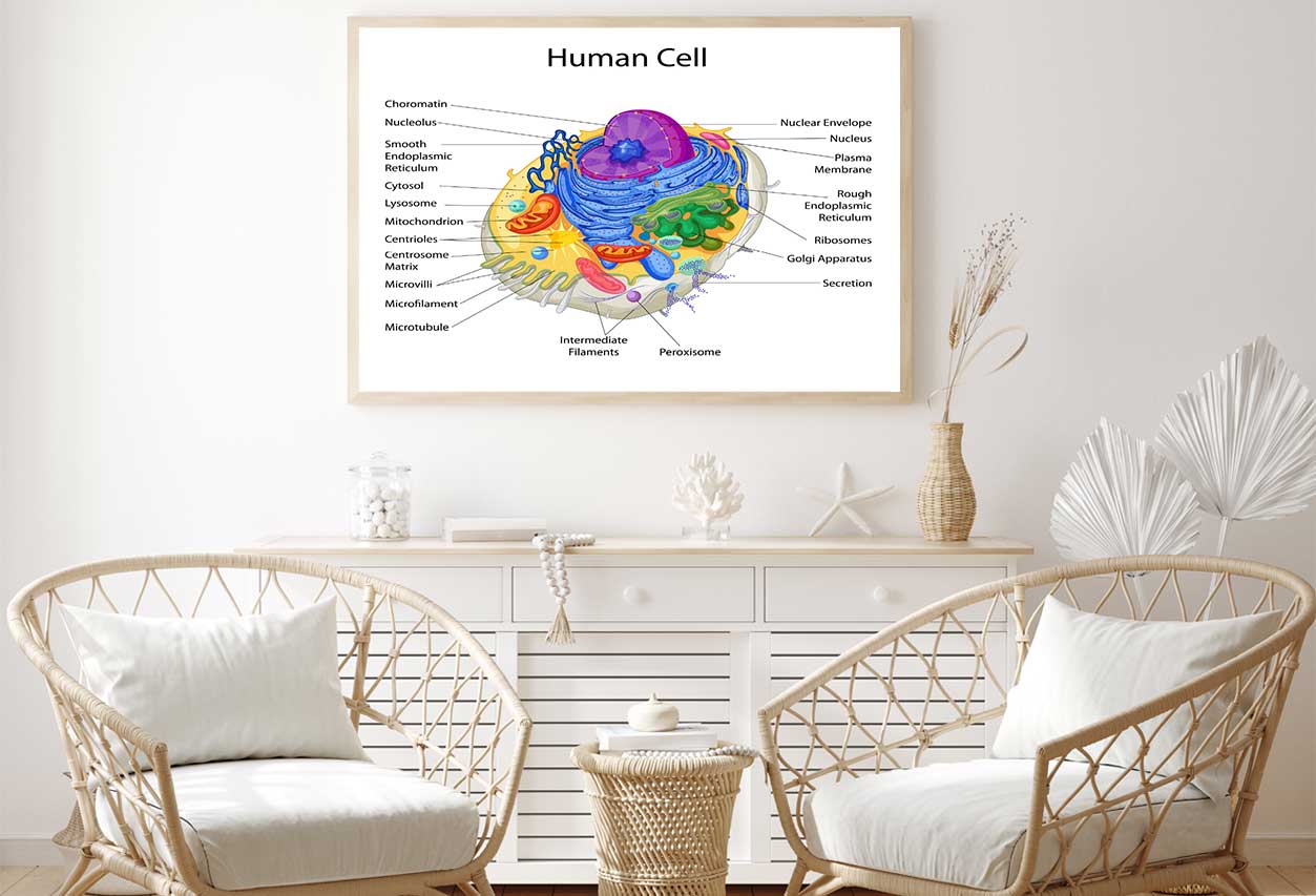 Human Cell Closeup Vector Home Decor Premium Quality Poster Print Choose Your Sizes