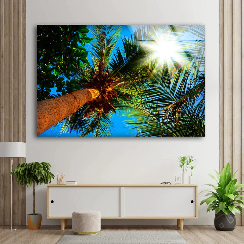 Palm Trees Below View UV Direct Aluminum Print Australian Made Quality