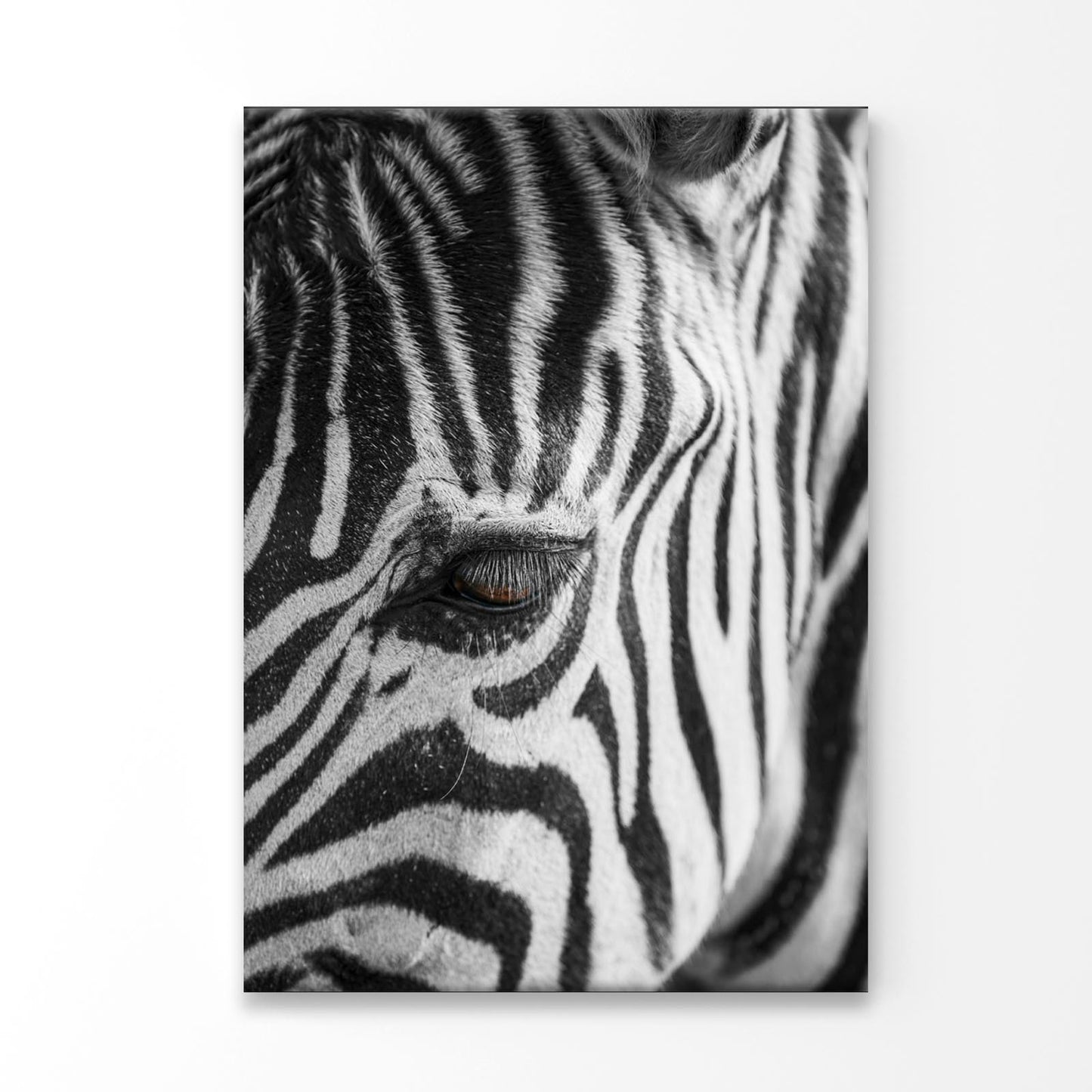 B&W Zebra Print 100% Australian Made