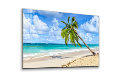 Palm Tropical Beach UV Direct Aluminum Print Australian Made Quality