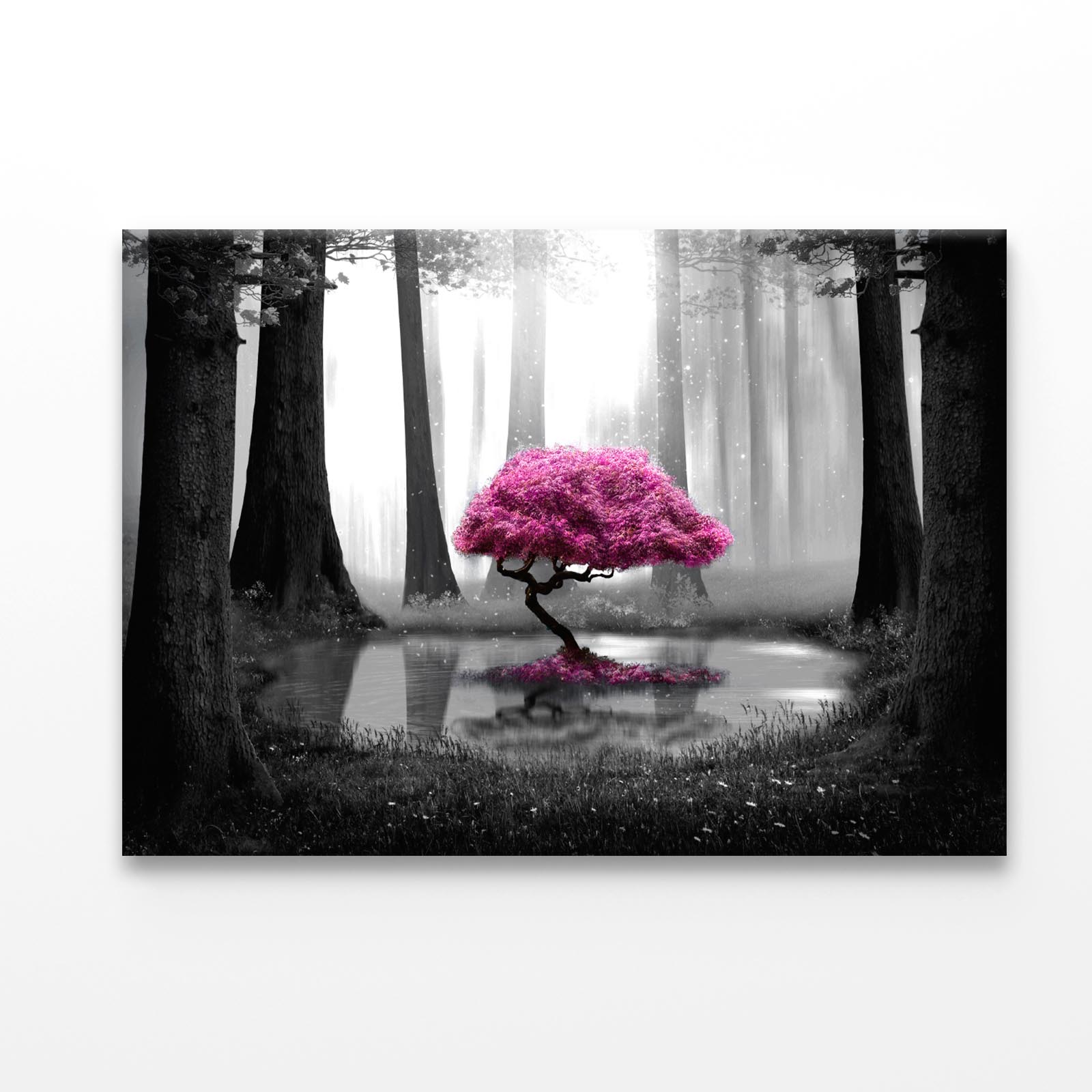 Pink Tree B&W Forest Acrylic Glass Print Tempered Glass Wall Art 100% Made in Australia Ready to Hang