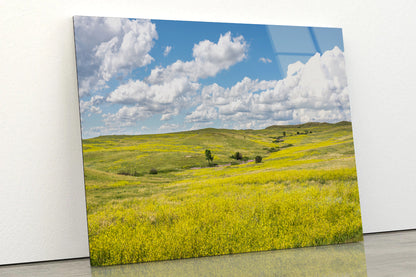 View of a Field Of Yellow Flowers under a Cloudy Sky Acrylic Glass Print Tempered Glass Wall Art 100% Made in Australia Ready to Hang