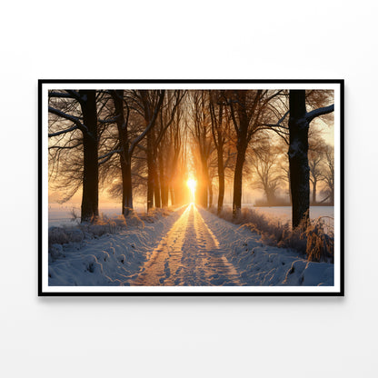 Winter with Tree Alley at Sunset Home Decor Premium Quality Poster Print Choose Your Sizes