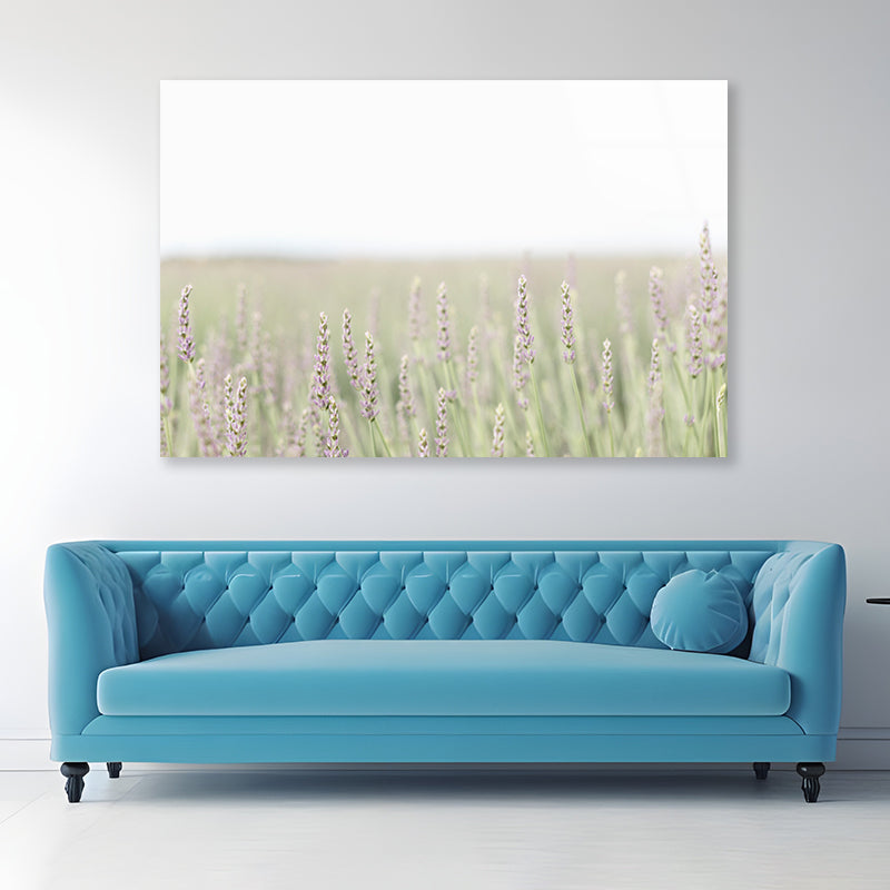 A Field Of Lavender with Grass and Plants Acrylic Glass Print Tempered Glass Wall Art 100% Made in Australia Ready to Hang