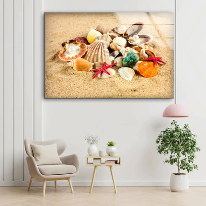 Sea Shells on Sand UV Direct Aluminum Print Australian Made Quality