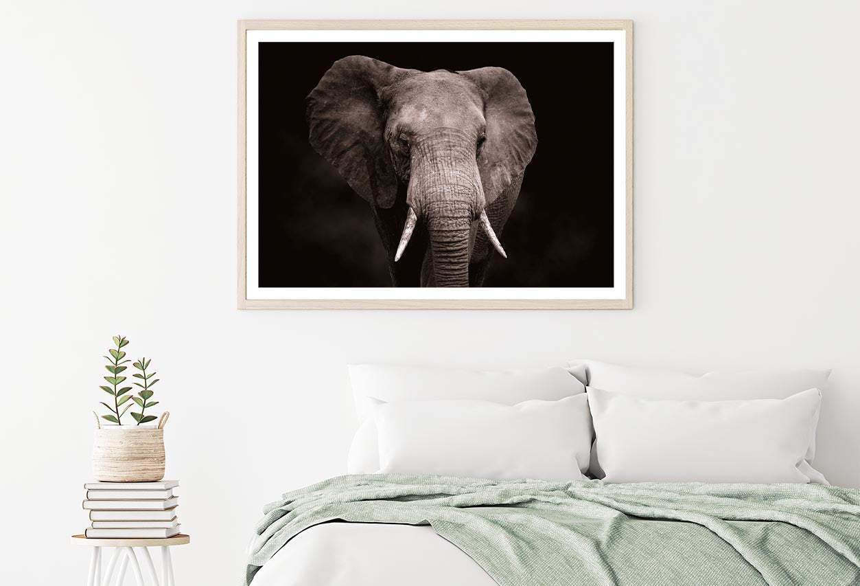 Elephant With Tusks Walking Home Decor Premium Quality Poster Print Choose Your Sizes