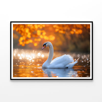 Swans on Autumn Pond View Home Decor Premium Quality Poster Print Choose Your Sizes