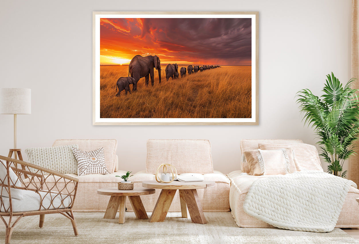 A Herd of Elephants Moving Across an Open Field Home Decor Premium Quality Poster Print Choose Your Sizes