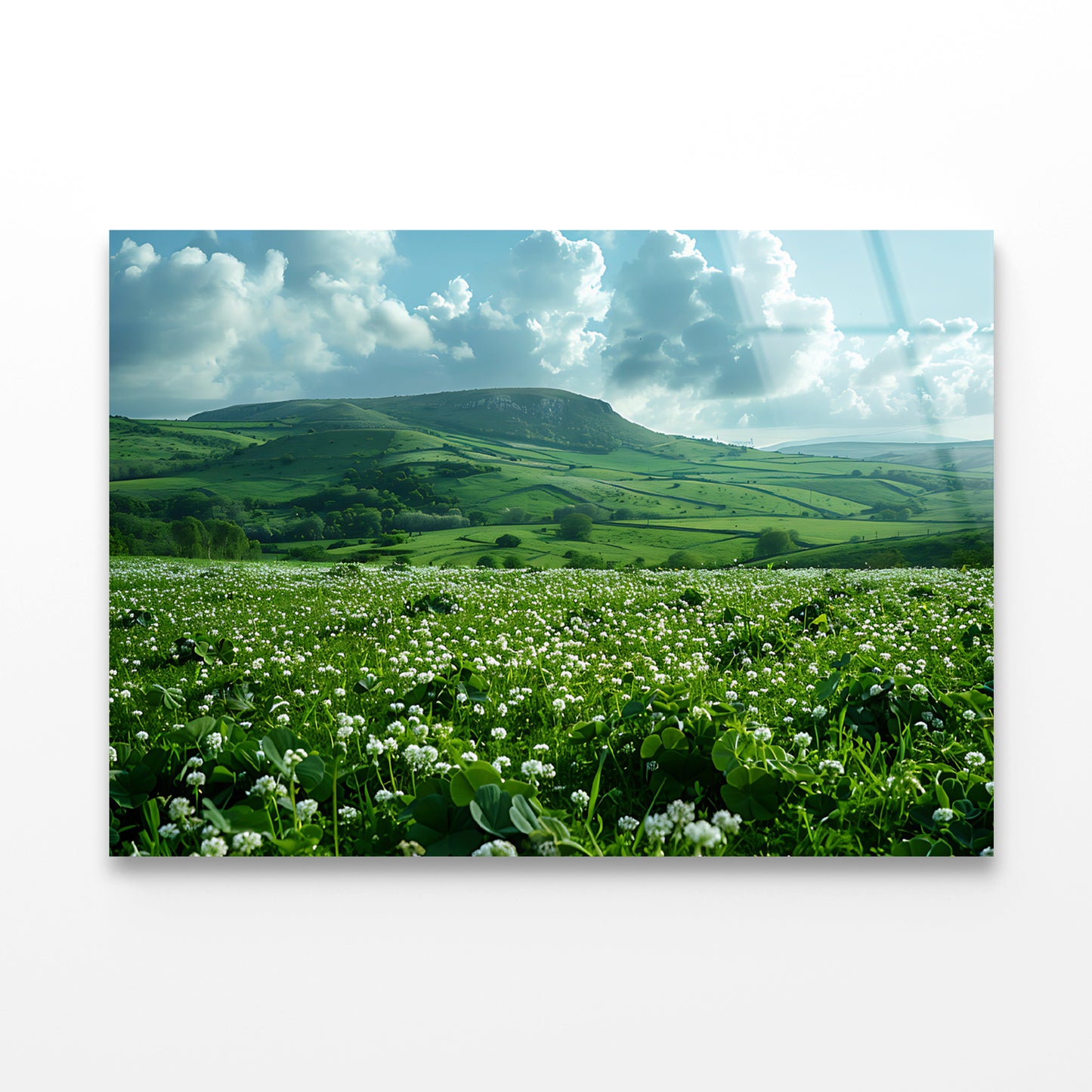 Field with Blue Sky View Acrylic Glass Print Tempered Glass Wall Art 100% Made in Australia Ready to Hang