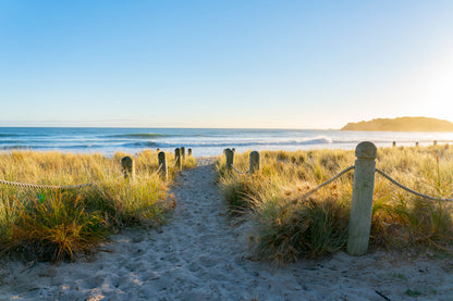 Bollards And Grassy Dunes Leading to Beach Acrylic Glass Print Tempered Glass Wall Art 100% Made in Australia Ready to Hang