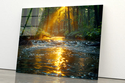 River in the Forest Acrylic Glass Print Tempered Glass Wall Art 100% Made in Australia Ready to Hang