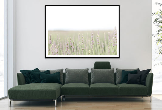 A Field Of Lavender with Grass and Plants Home Decor Premium Quality Poster Print Choose Your Sizes