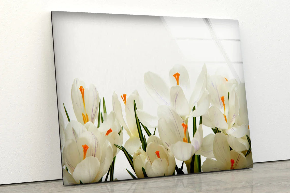 White Flowers View UV Direct Aluminum Print Australian Made Quality