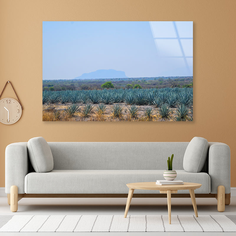 View of a Field Of Green Plants with a Mountain Acrylic Glass Print Tempered Glass Wall Art 100% Made in Australia Ready to Hang