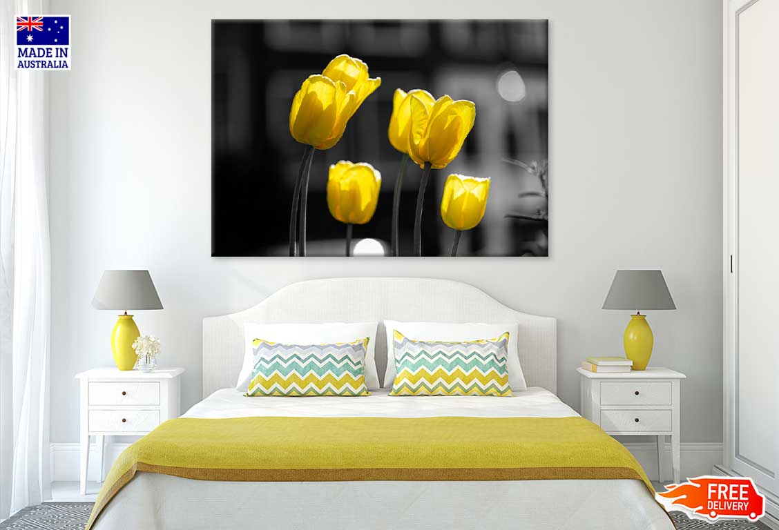 Yellow Tulip Flowers B&W View Photograph 90x60cm Print 100% Australian Made